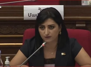 Տարրական անվտանգություն չեք կարողանում ապահովել ․ Գեղարքունիքի գյուղացիներին ի՞նչ է սպասվում