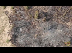 Հրդեհ Խոսրովի անտառ պետական արգելոցի տարածքում