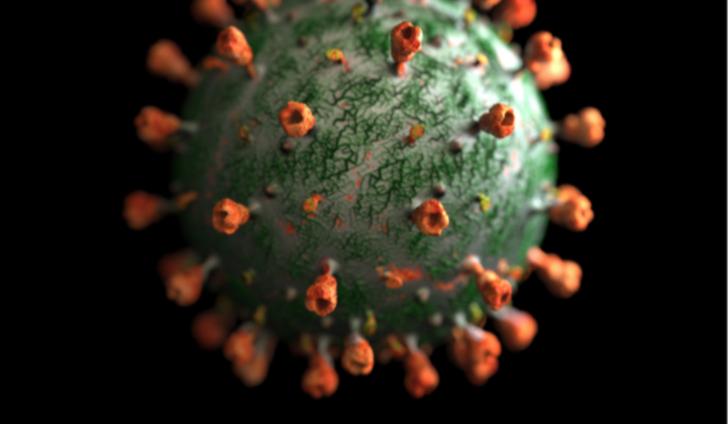 կորոնավիրուս
