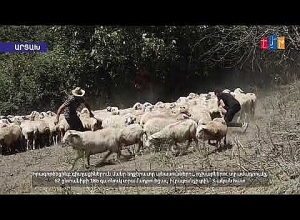 Армянская епархия Германии реализовала в Арцахе программу на сумму 65 тысяч долларов