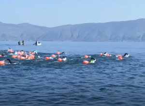 Третий крупный заплыв состоялся на озере Севан с участием иностранных пловцов