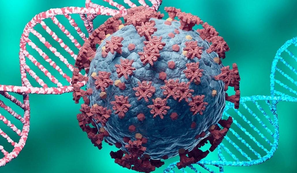 կորոնավիրուս