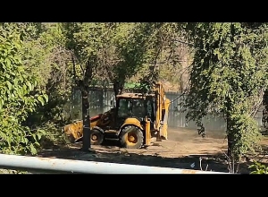 ««Ռատկո» ն ջարդում ու տապալում է Ֆիզգորոդոկի ծառերը»  Սեդա Գրիգորյան