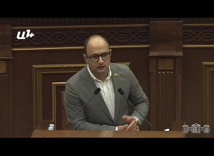 Рано или поздно моё дело тоже окажется на столе, но ничего, общественность должна об этом знать: Мамиджанян