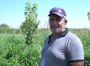 Վաճառում ենք պղպեղը և ստանում բավարար եկամուտ․ ծրագրի շահառու