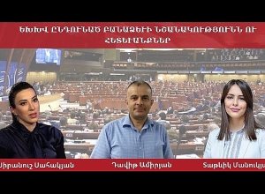 Значение и последствия резолюции, принятой ПАСЕ: Обсуждение в прямом эфире
