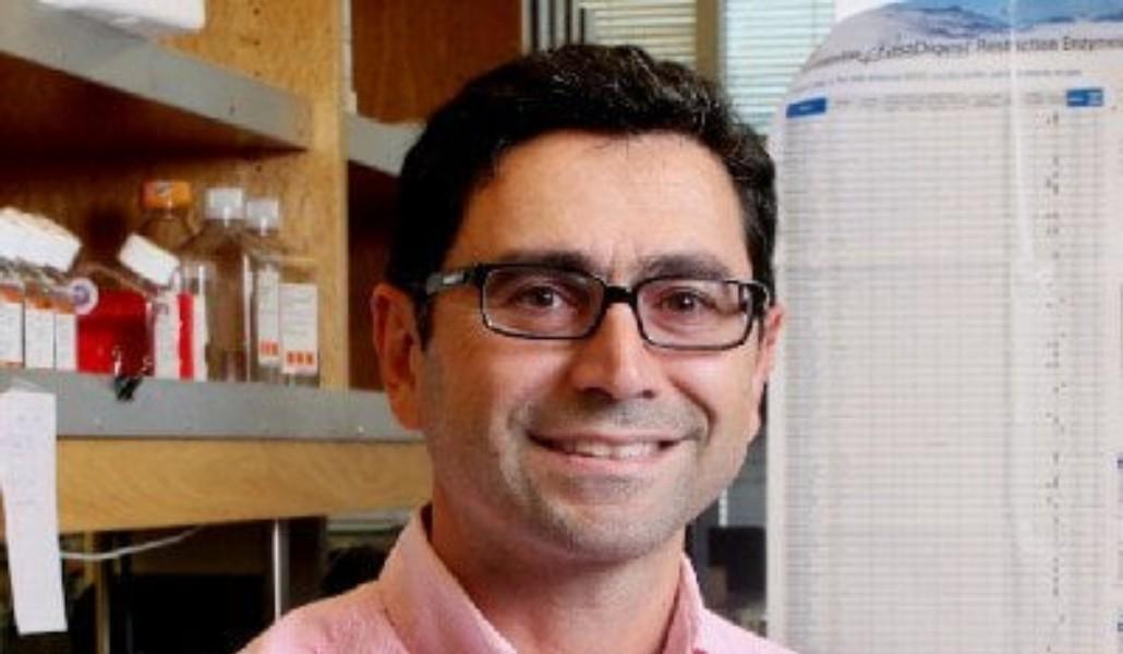 244415602_413092336854110_4516039588487008784_n