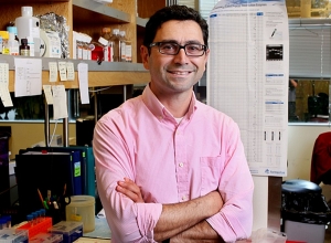 Президент Саркисян направил поздравительное послание армянскому учёному Артёму Патапутяну