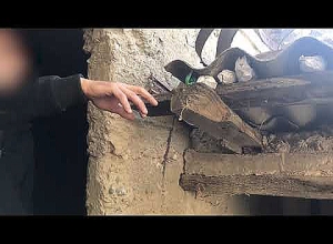 Полиция обнаружила более 240 граммов наркотиков