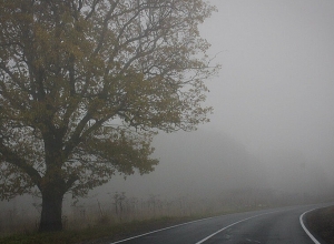 Ձնախառն անձրև, մառախուղ․ ինչ վիճակ է ճանապարհներին