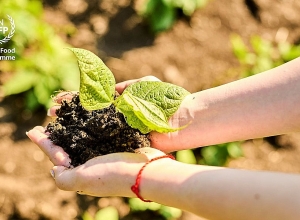 Եթե գործողություններ չձեռնարկվեն, կբախվենք սովի աննախադեպ աճի վտանգին