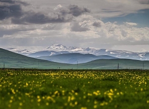 Активность азербайджанцев, вторгшихся в Гегаркуник, резко возросла: Омбудсмен