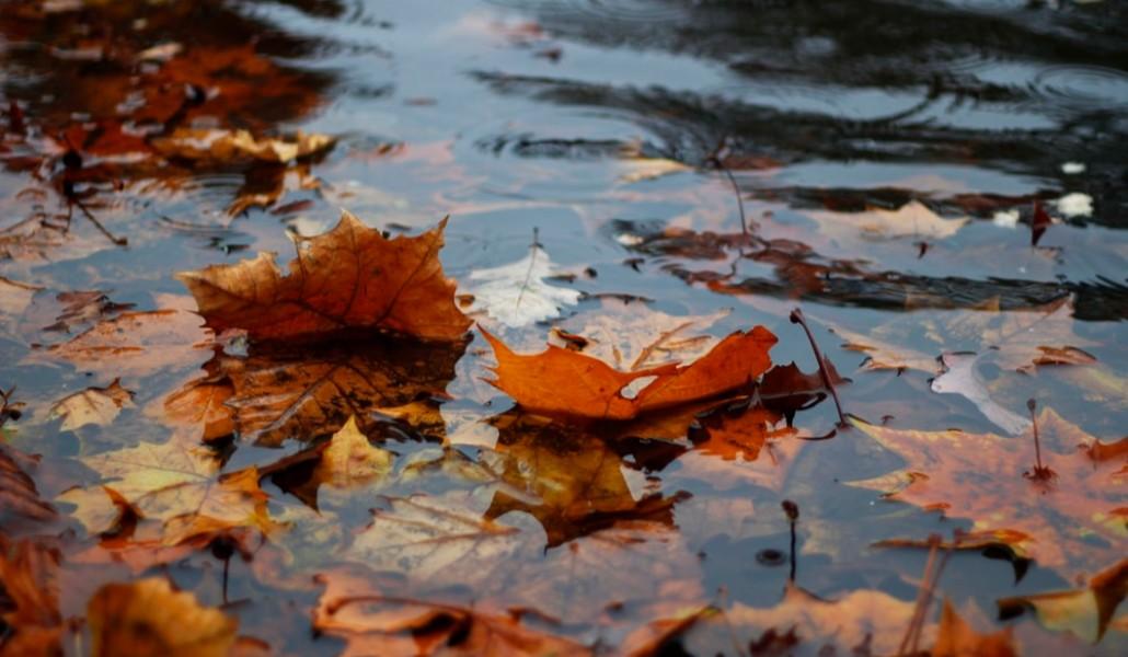 autumn rain