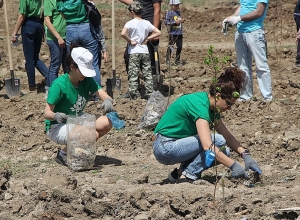 Ծառ տնկելու նոր մշակույթ Հայաստանում