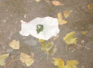 Մեքենայից թմրանյութը նետելիս բռնվել էր