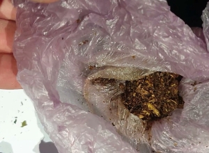 Դատապարտյալներին թմրամիջոցներ փոխանցելիս բռնվել էր