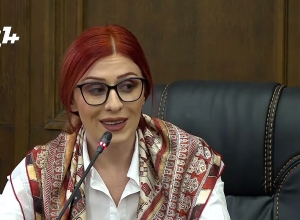 Если бы этот проект распространялся на Пашиняна, где бы он ни был, я бы подписала: Хамоян