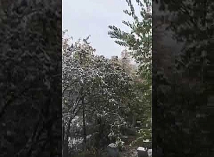 Գորիսում ձյուն է տեղում