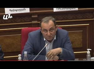 Մենք ԱԳ նախարարին էլ էինք հրավիրել․ ինչո՞ւ չկա․ Արծվիկ Մինասյան