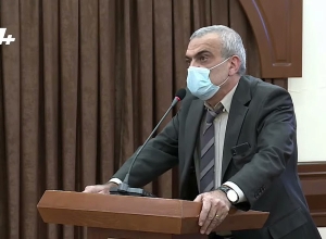 Ձեզ սկոչ, լեյկոպլաստ կամ բամբակ խորհուրդ կտամ․ Թոխյանը՝ Թեհմինա Վարդանյանի ելույթի մասին