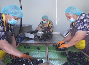 9 компаний получили гранты на развитие экспорта