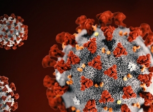 8 новых случаев, 1 смерть: коронавирус сегодня