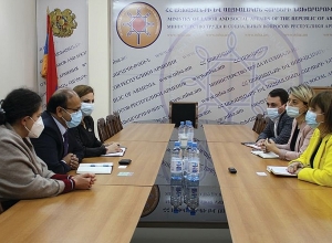 Փոխնախարարն ընդունել է ԱՀԿ ներկայացուցչին