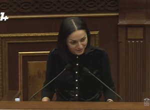 Մսի և կարտոլի պատմությունը կապ չունի մեր հետ․ Վարդանյան