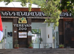 Կենդանաբանական այգին 4 օր փակ է լինելու