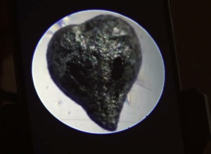 Սասունիկում բացվել է Հայաստանի գինու պատմության թանգարանը