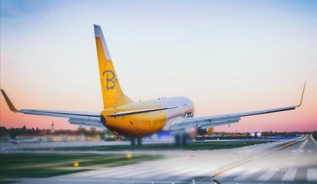 Bees-Airline