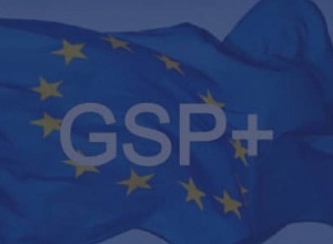 Հայաստանը հունվարի 1-ից չի օգտվի ԵՄ GSP+ արտոնյալ առևտրային ռեժիմից