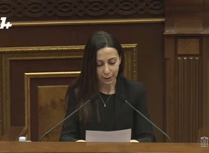 Мария Карапетян обратилась к международному сообществу на английском языке