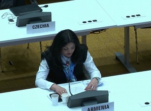 COVID-19 համաճարակի դասերը դեռ բավականաչափ ուսումնասիրված չեն․ Լենա Նանուշյան