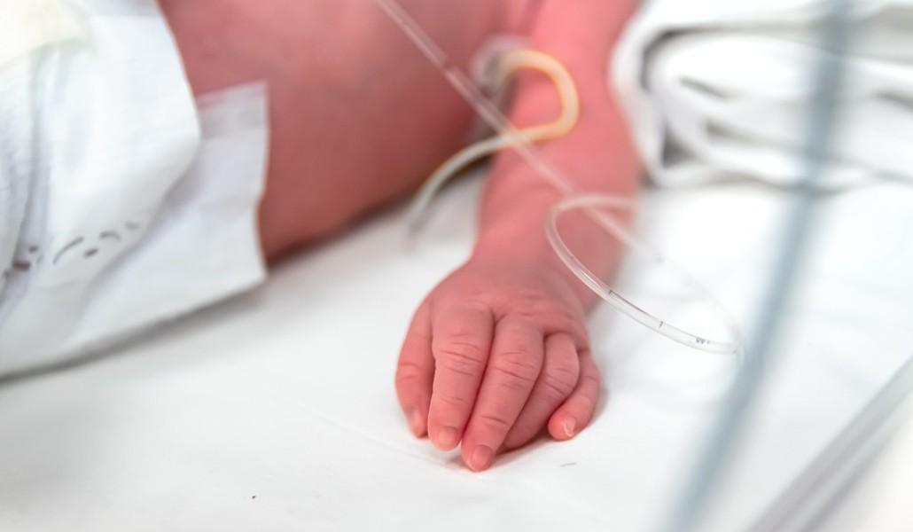 newborn