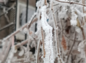 В эти декабрьские дни 1994 года в горных районах республики наблюдалось -25...-30