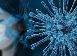 0 смертей от коронавируса на прошлой неделе