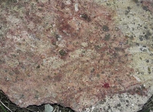 Դանակահարել էր համագյուղացուն․ Ստեփանավանի ոստիկանների բացահայտումը