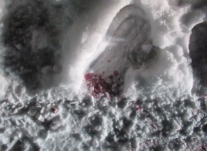 Ударил водителя ножом за то, что тот не уступил дорогу