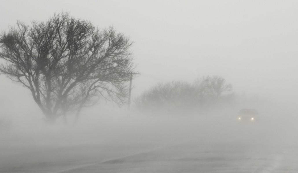 fog 1