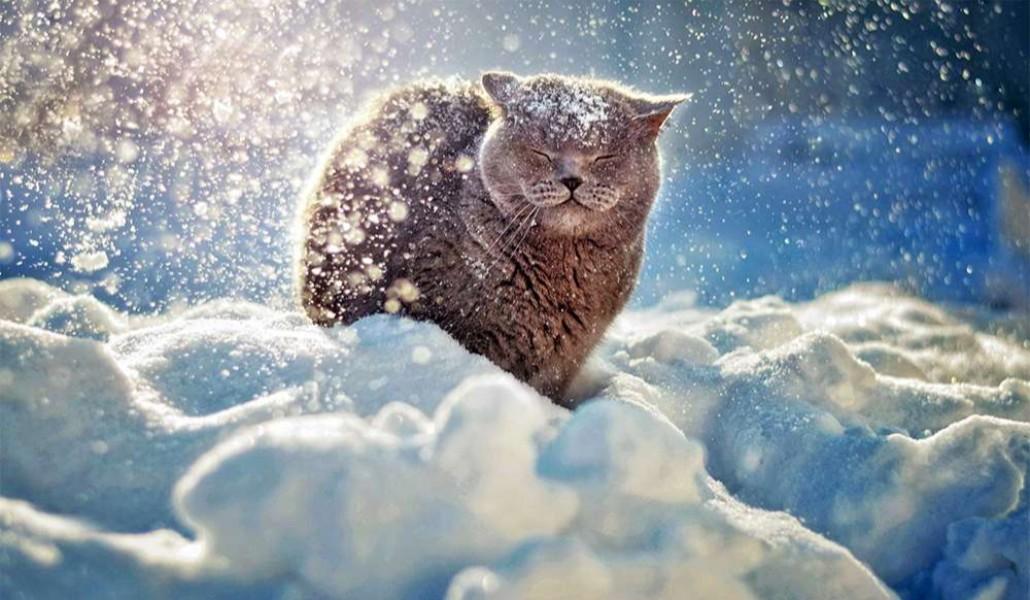 winter