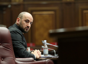 Госпожа Галстян, если будете так продолжать, я предоставлю вам некоторую сумму на следующую агитационную кампанию