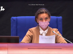 Выступления Рубиняна и Сеидова в ПАСЕ