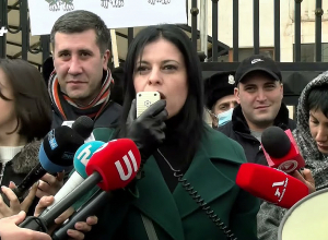 Мадам, стыдно, опомнитесь: Арегназ Манукян - послу ЕС