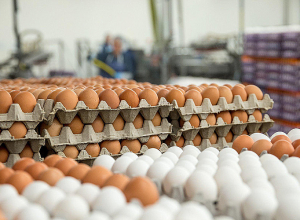 Վարչական դատարանը վերահաստատել է ՄՊՀ դիրքորոշումը հավի ձվի շուկայում գերիշխող դիրքի չարաշահման վերաբերյալ