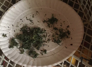 Խուզարկությամբ հայտնաբերվել է զենք, թմրանյութ ու գողոն