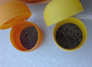 Հատուկ միջոցառում Լոռիում․ ապօրինի զենք-զինամթերք էին պահում