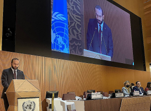 Мирзоян рассказал с трибуны ООН о преступлениях Азербайджана