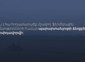 Մինչև 3 հա հողատարածքում մշակություն իրականացնող տնտեսությունները կսուբսիդավորվեն