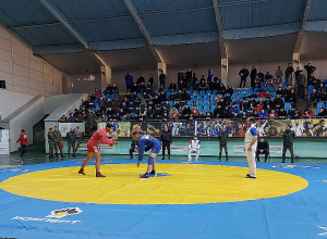 Հայաստանի երիտասարդ սամբիստները որոշեցին լավագույններին